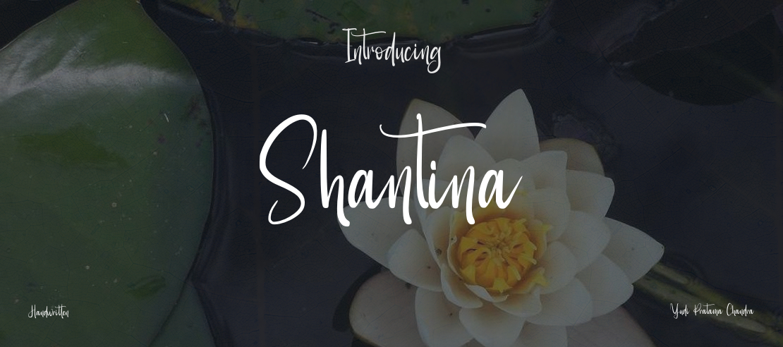 Shantina Font