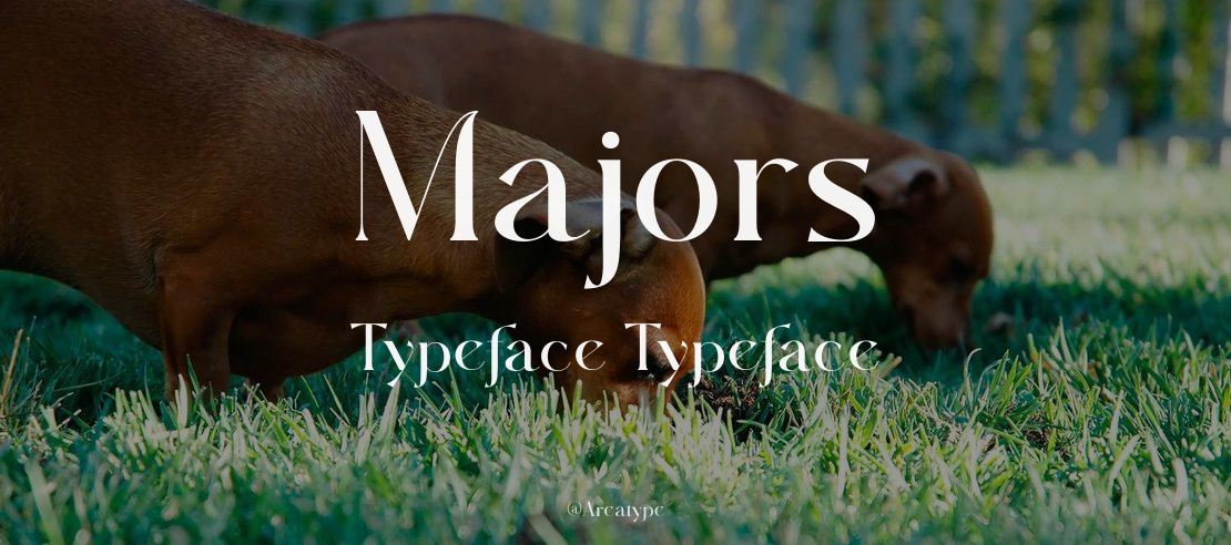 Majors Typeface Font