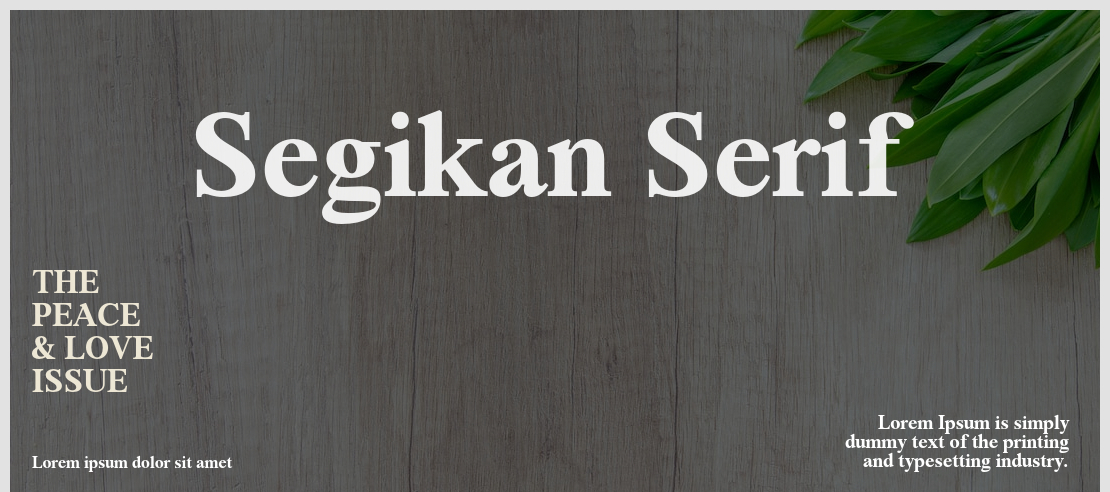 Segikan Serif Font Family