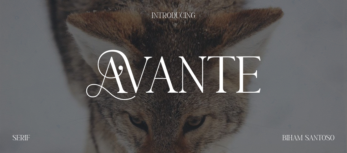 AVANTE Font