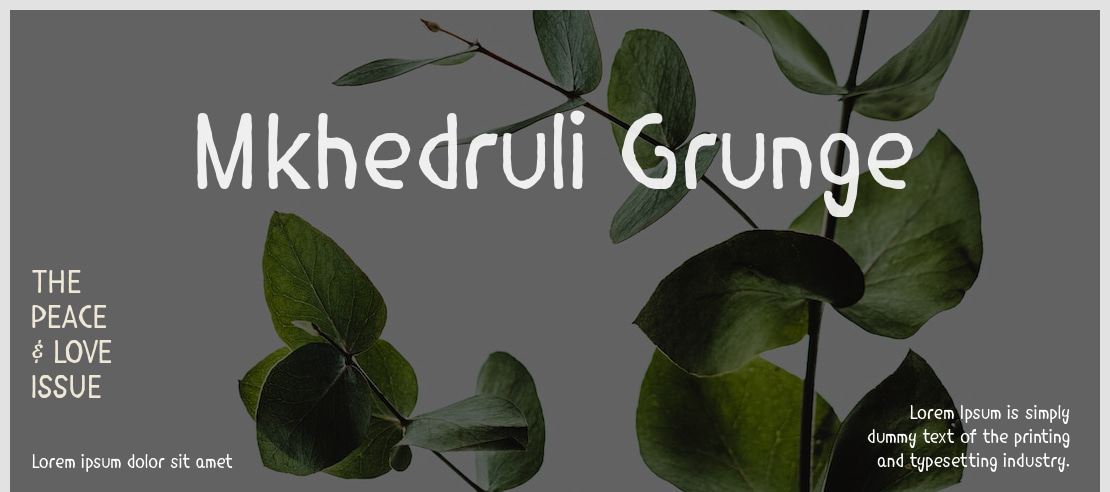 Mkhedruli Grunge Font Family