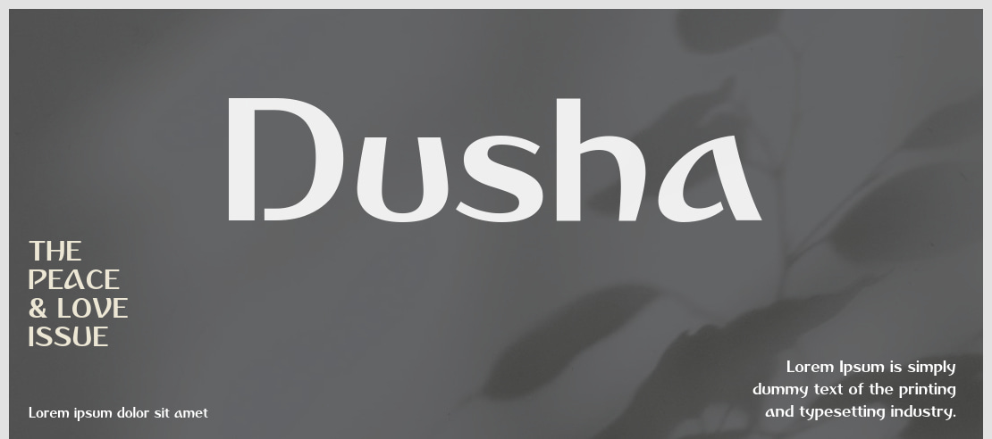 Dusha Font