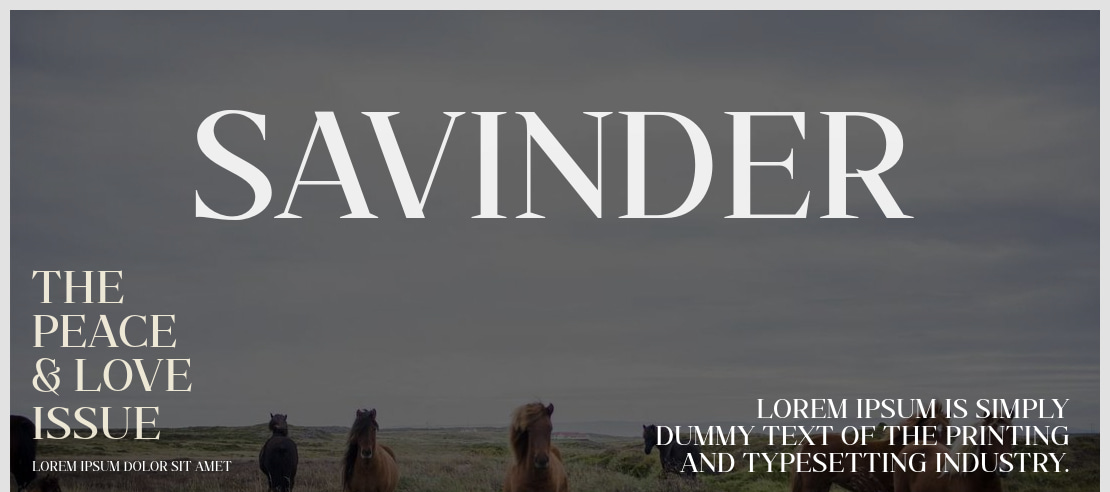 Savinder Font