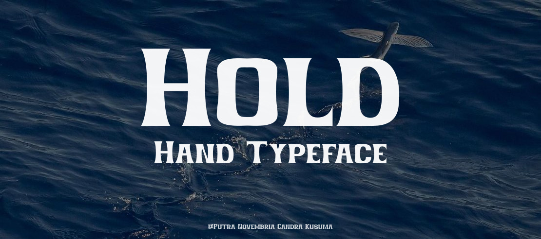 Hold Hand Font Family