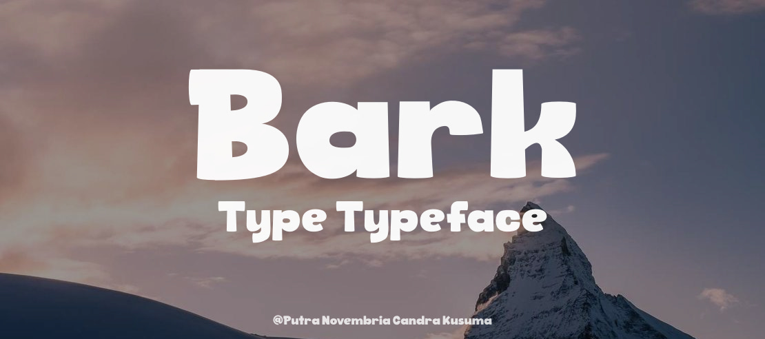 Bark Type Font Family