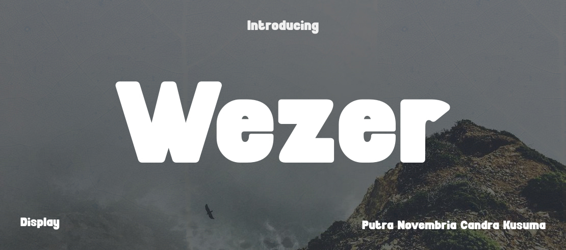 Wezer Font Family