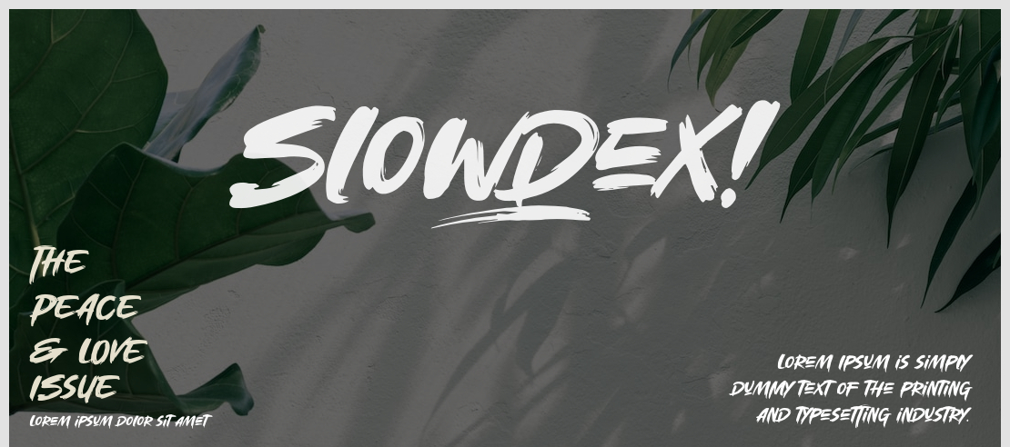 Slowdex Font