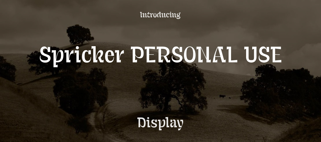 Spricker PERSONAL USE Font