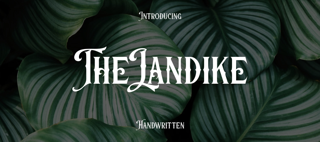 The Landike Font