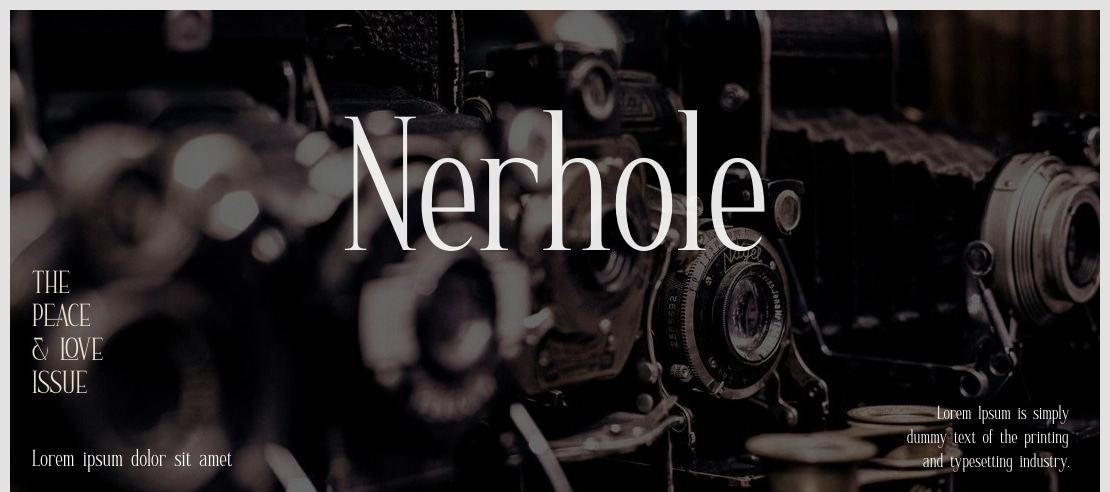 Nerhole Font