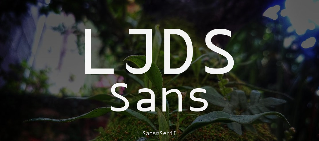 LJDS Sans Font Family