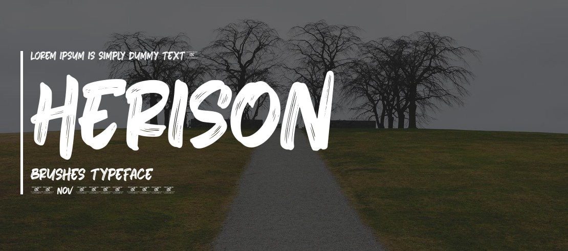 Herison Brushes Font