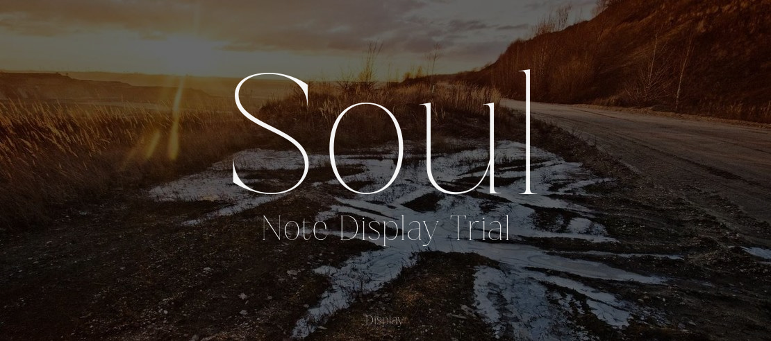 Soul Note Display Trial Font