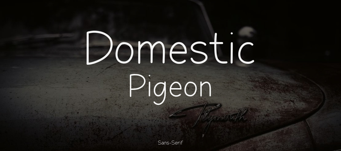 Domestic Pigeon Font