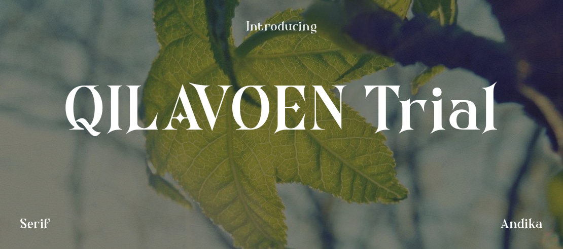 QILAVOEN Trial Font