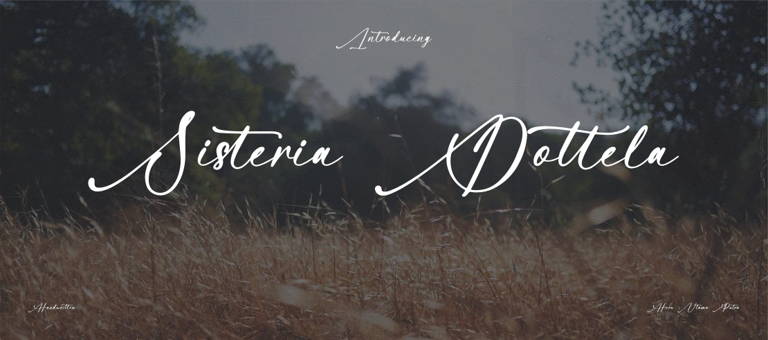 Sisteria Dottela Font