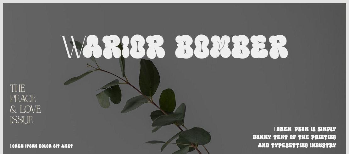 Warior bomber Font