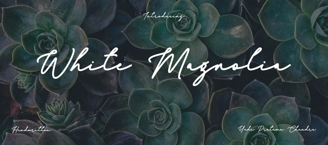 White Magnolia Font