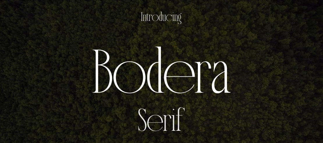 Bodera Font