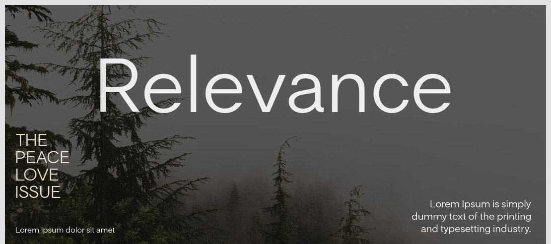Relevance Font Family