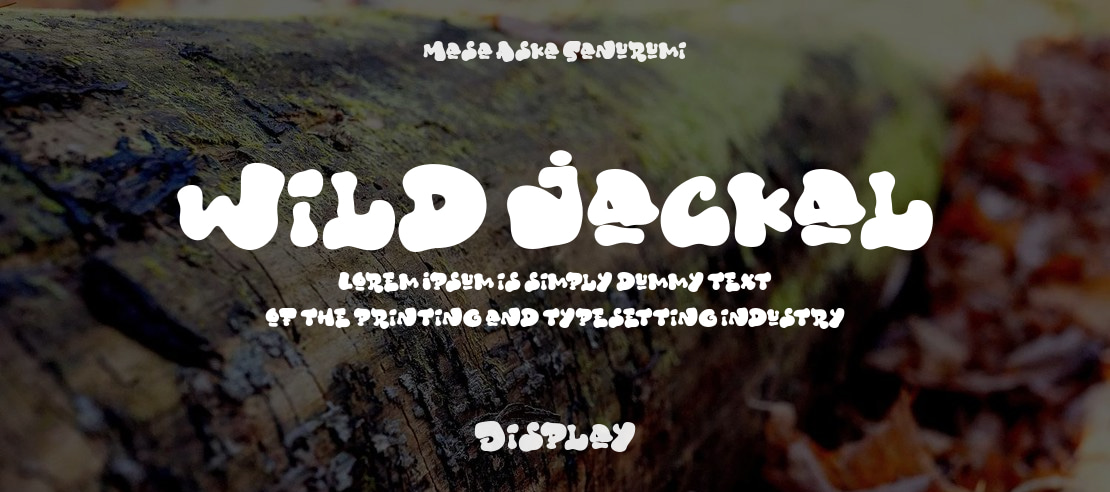 Wild Jackal Font
