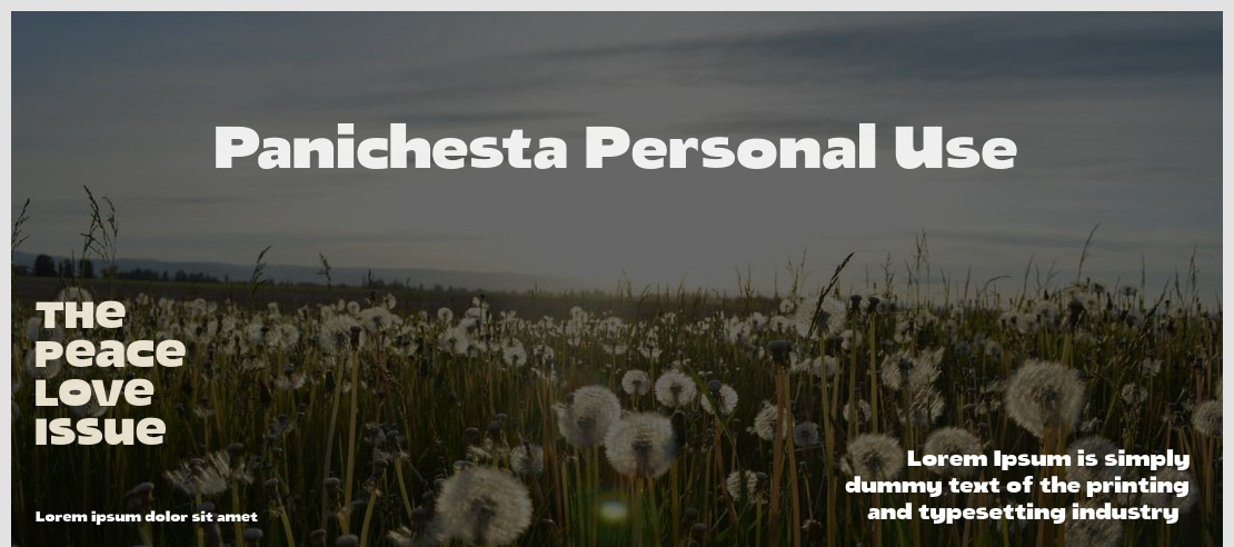 Panichesta Personal Use Font