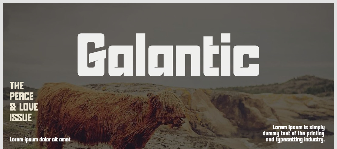 Galantic Font Family