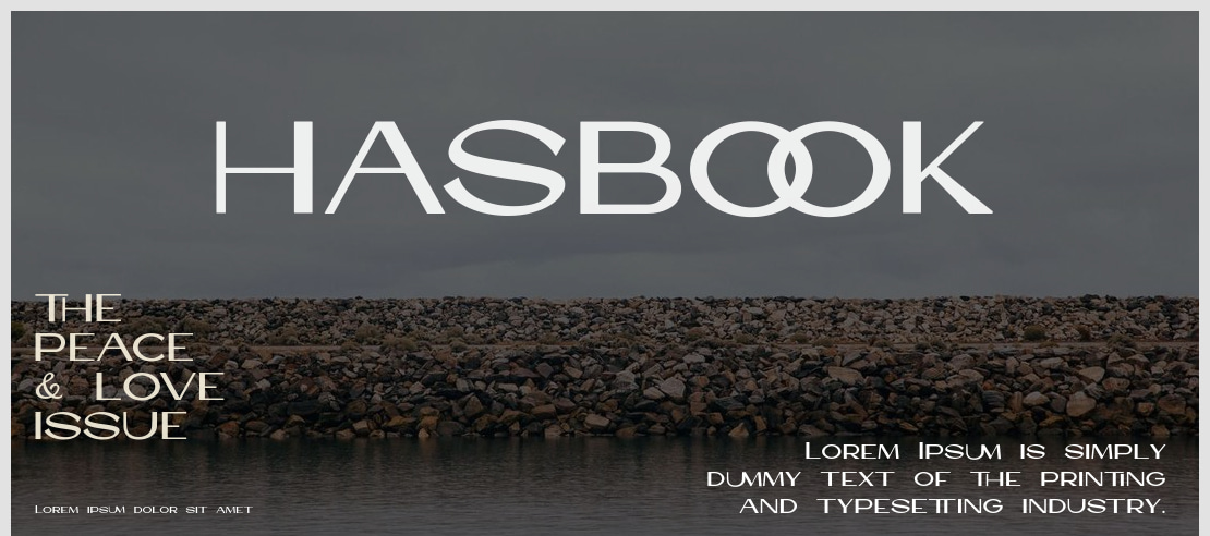 HASBOOK Font
