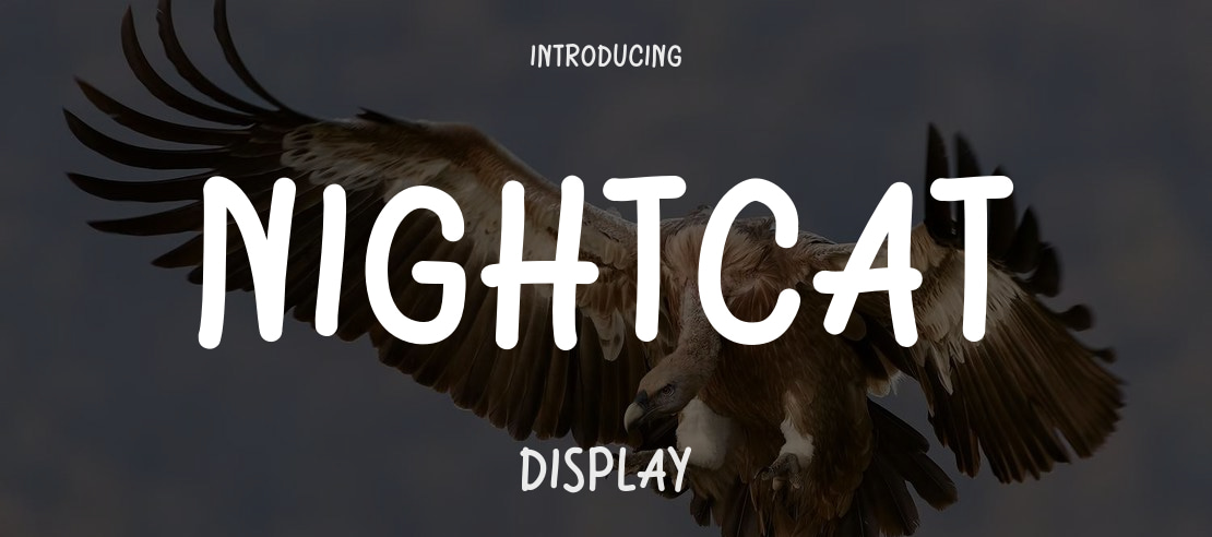 Nightcat Font