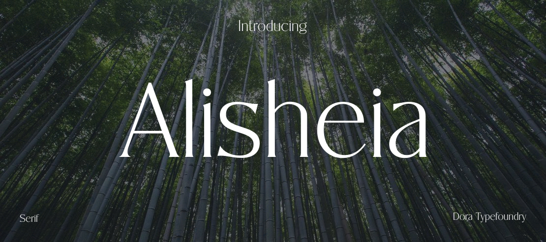 Alisheia Font