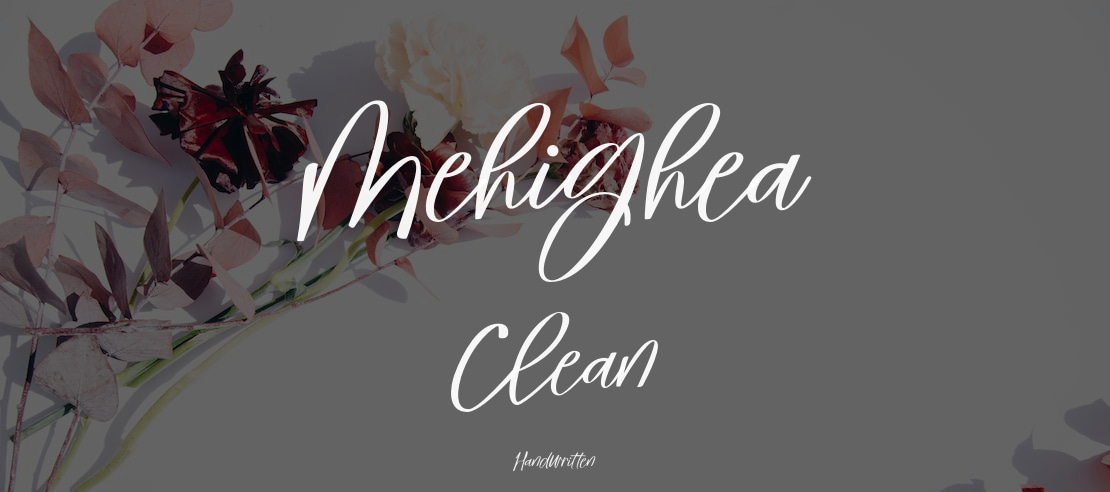 Mehighea Clean Font Family