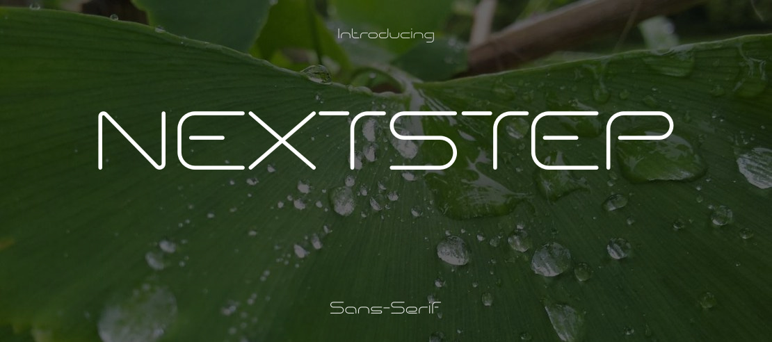 NEXTSTEP Font