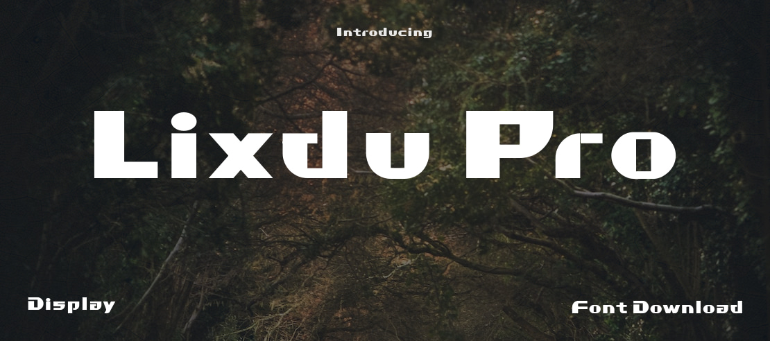 Lixdu Pro Font