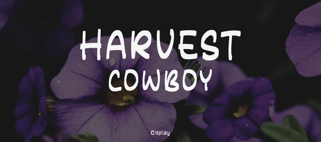 HARVEST COWBOY Font