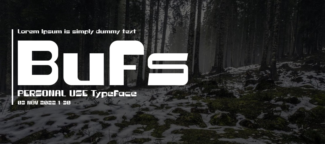 Bufs PERSONAL USE Font