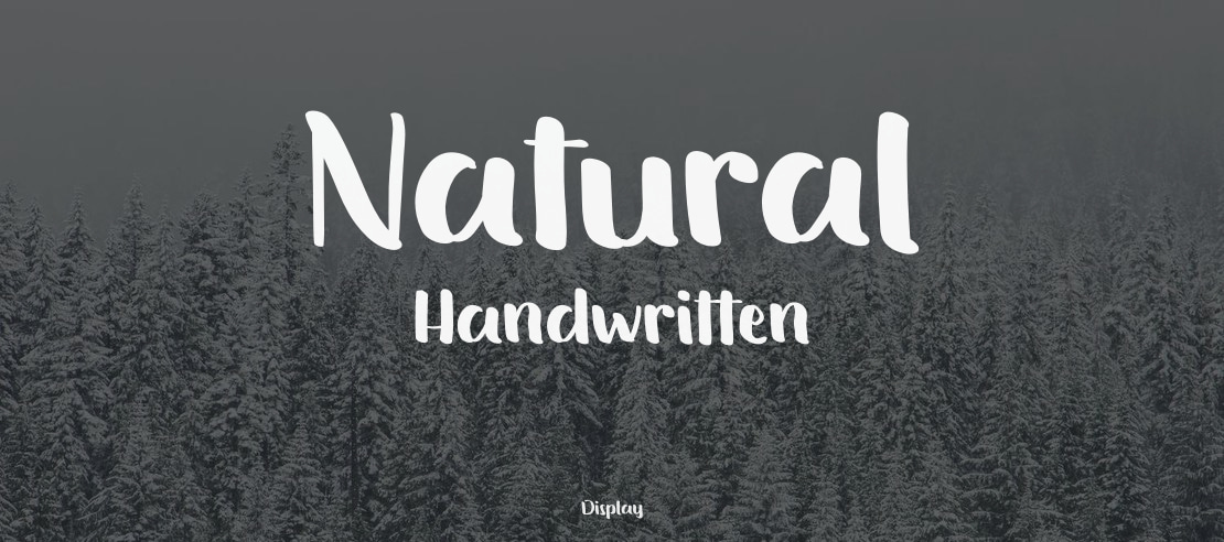 Natural Handwritten Font