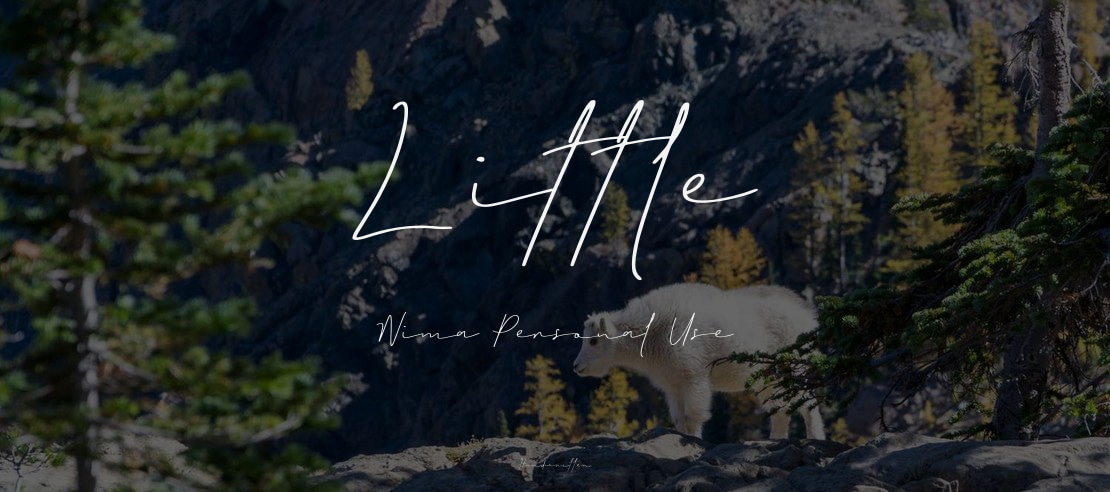 Little Nima Personal Use Font