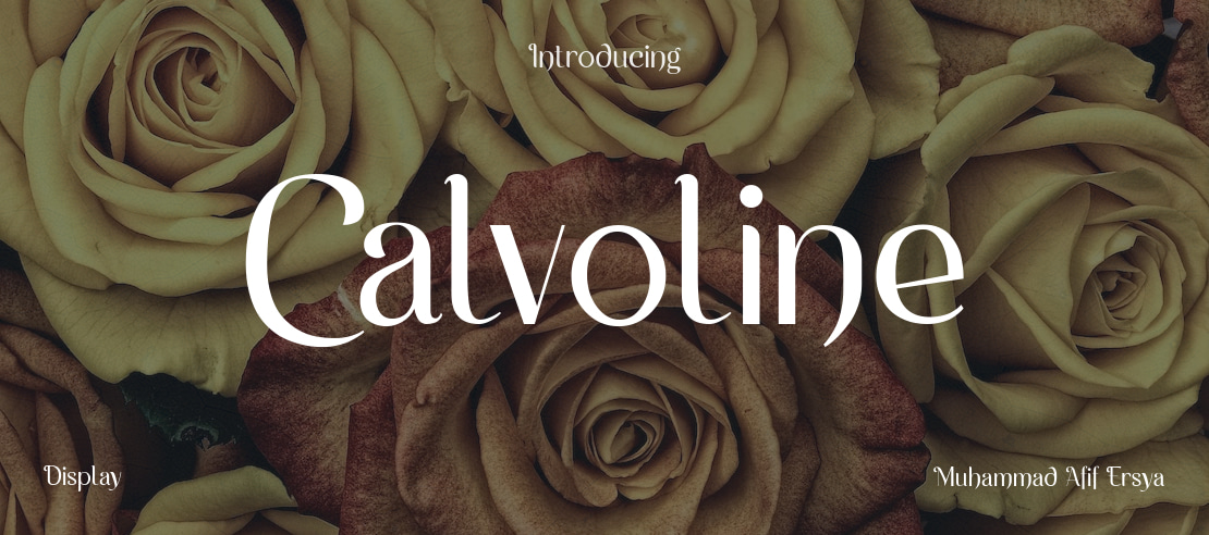 Calvoline Font