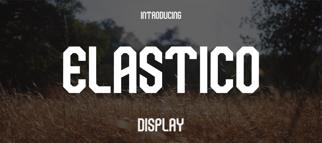 ELASTICO Font