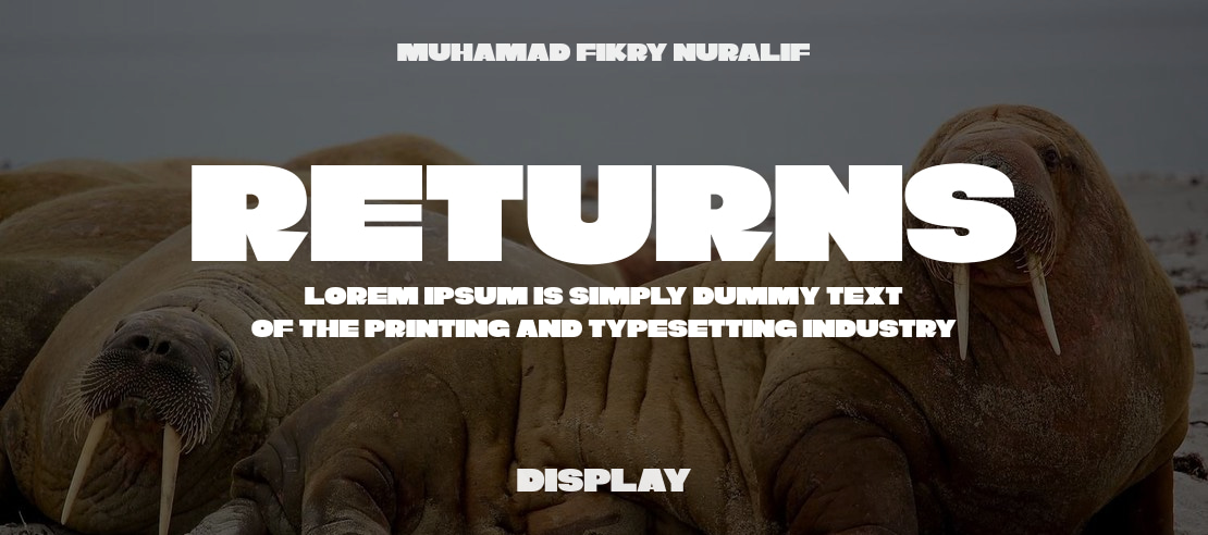 Returns Font