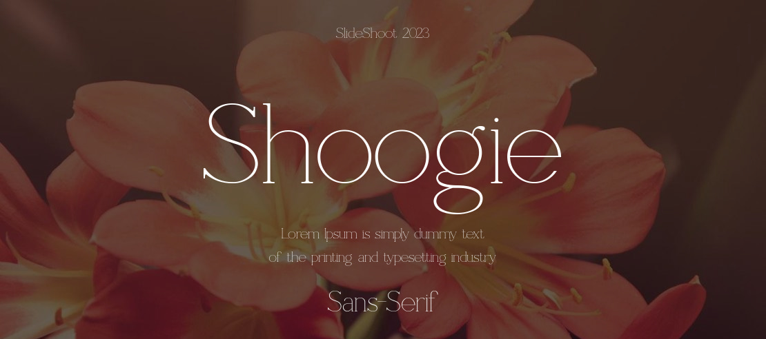 Shoogie Font