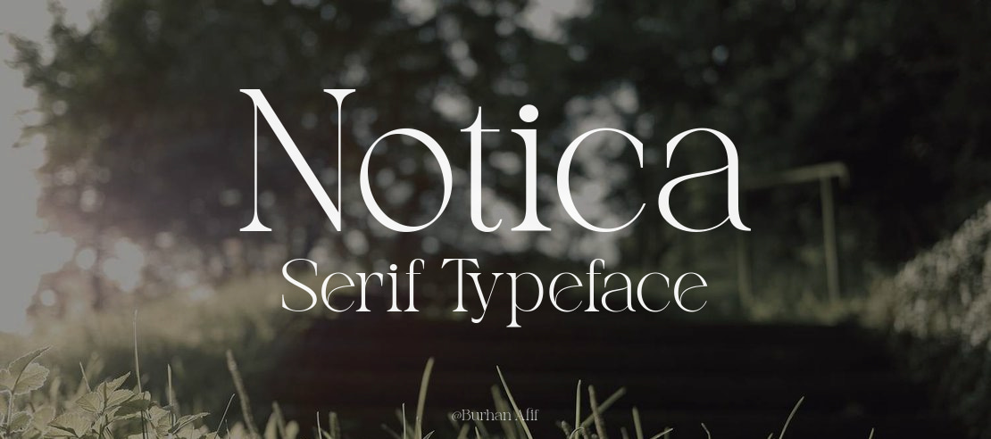 Notica Serif Font