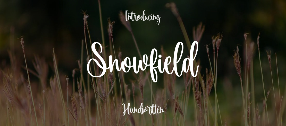 Snowfield Font