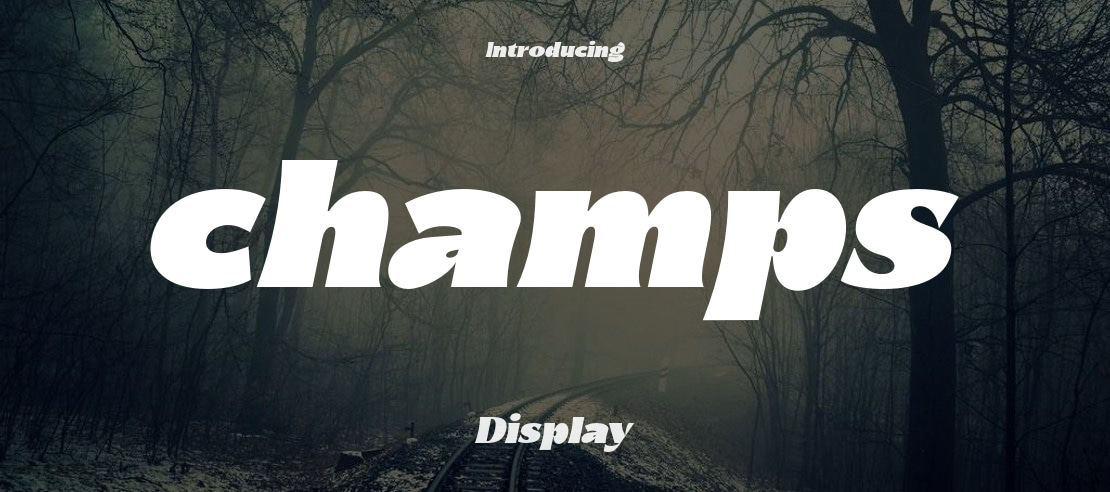 champs Font Family
