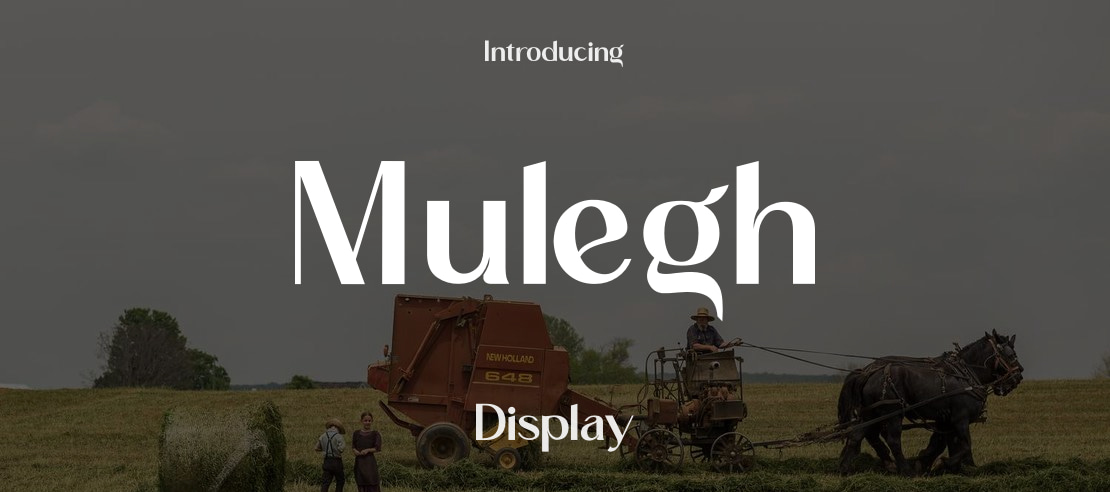Mulegh Font
