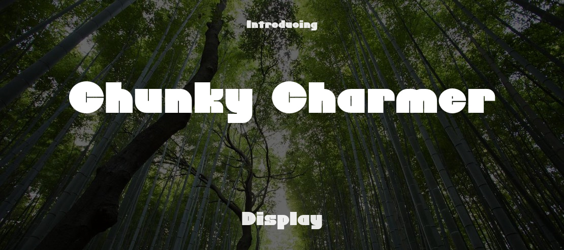 Chunky Charmer Font