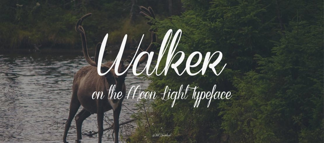 Walker on the Moon Light Font Family