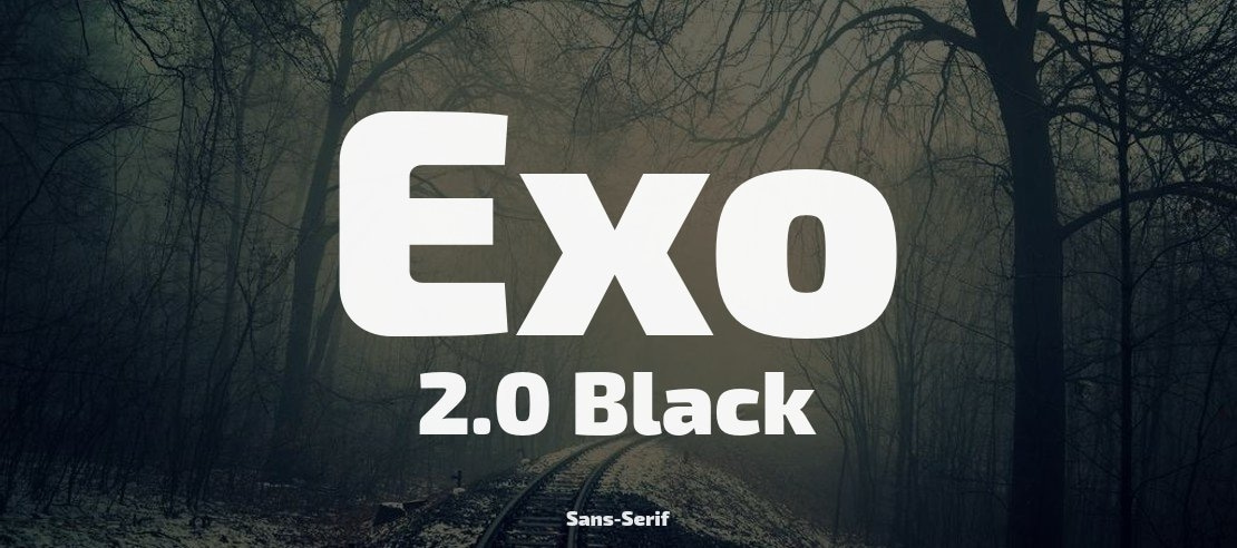 Exo 2.0 Black Font Family