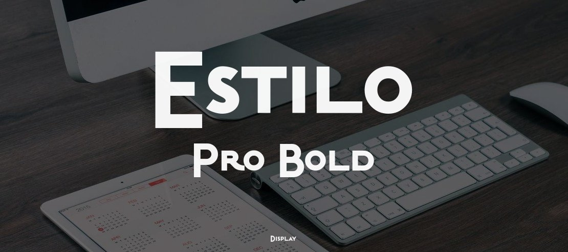 Estilo Pro Bold Font