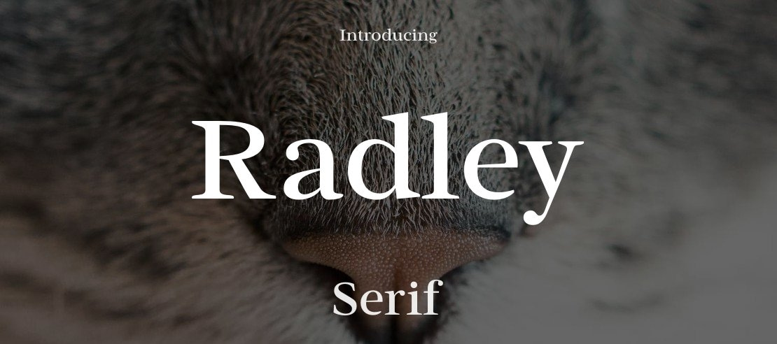 Radley Font